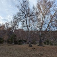 Осень :: Андрей Хлопонин