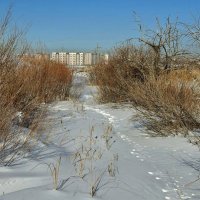 Февраль :: Георгиевич Февраль :: Георгиевич