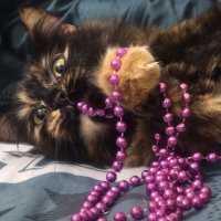 Игра с бусами :: Мариша Игра с бусами :: Мариша