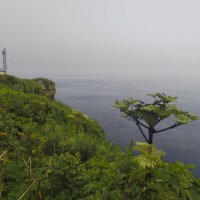 Мы Крильон,  Туман. :: ИРЭН@ .