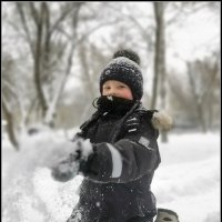 Тимофей :: Ольга Довженко