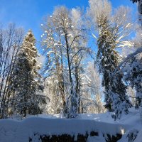 солнечный денек :: Владимир 