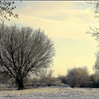 *** :: Aleksandr Gal *** :: Aleksandr Gal