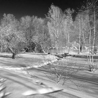 б/н :: Николай 