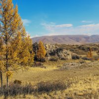 Осень в Горном Алтае :: елена беликова Осень в Горном Алтае :: елена беликова