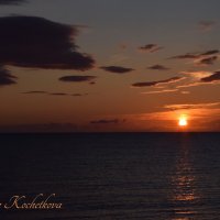 Природа Крыма :: Amazing Cosmea Природа Крыма :: Amazing Cosmea