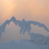 Взлетая над рекой :: Сергей Герасимов Взлетая над рекой :: Сергей Герасимов