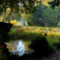Утро на двоих :: Юрий. Шмаков