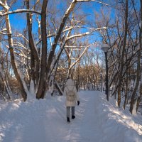 Прогулки в Зимнем Парке :: юрий поляков Прогулки в Зимнем Парке :: юрий поляков