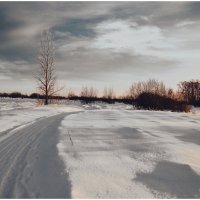 Зимнее безмолвие. :: Михаил Курзанцев