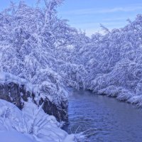 Новогоднее утро---07 :: Владимир Холодный