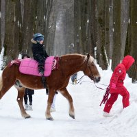 Катание на лошади. :: Наталья Вязигина