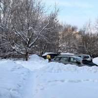 ***откопались...*** :: Olga Oskolkova ***откопались...*** :: Olga Oskolkova