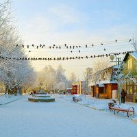 Подмосковная зарисовка :: Ольга 