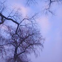 Рассвет :: Сапсан 