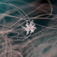 Зимний бриллиант :: Ирина Баскакова