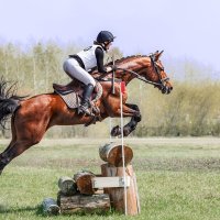 Кросс :: SanSan 