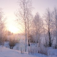 Утро. :: сергей ермошкин