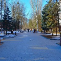 Ростов-на-Дону. Аллея улицы Пушкинской в феврале. :: Пётр Чернега Ростов-на-Дону. Аллея улицы Пушкинской в феврале. :: Пётр Чернега