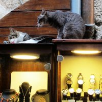 Хранители сокровищ :: Натали 