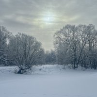 февральское солнце :: Galina февральское солнце :: Galina