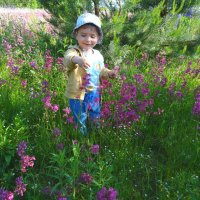 Рома любуется цветами :: Наталья ***