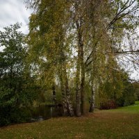 На  прудах в ноябре... :: Николай Гирш