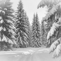 Зимнее благолепие ... :: Ravile