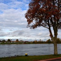 Рейн :: Юрий. Шмаков