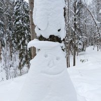 циркачи :: Владимир 