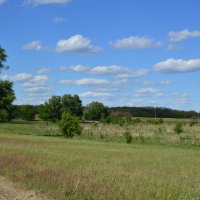 В степи. :: Виктор 