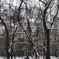 *** :: Валентина Береснева