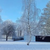 Прекрасный январь ... :: Татьян@ Ивановна