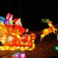 Китайский Новый год :: ИННА ПОРОХОВА