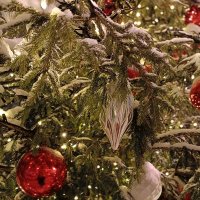 праздники продолжаются... :: Галина R...