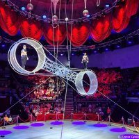 Колесо смелости :: Елена Сухорученкова Колесо смелости :: Елена Сухорученкова