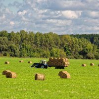 Заготовка валков :: Валерий Судачок