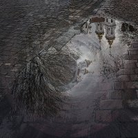 ART-лужа (2) :: Yury Mironov