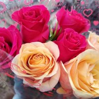 Розы на День влюбленных :: Наталья (ShadeNataly) Мельник