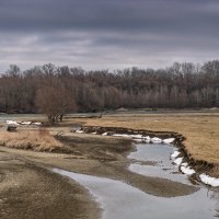 Протока реки Кубань :: Игорь Сикорский