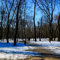 Ростов-на-Дону. Первомайский парк в феврале. :: Пётр Чернега