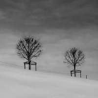 Близнецы. :: Svyatoslav [Artisan] Ph.