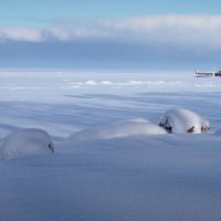 Петергоф. Морозное утро на заливе. :: Svyatoslav [Artisan] Ph.