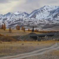 Мост через Курайку :: елена беликова