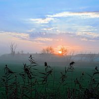 Утро. :: Владимир 