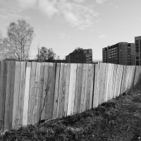 Фотография :: Денис Безногов