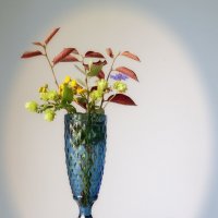 Маленький натюрморт. :: Лилия *