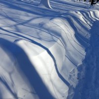 Так тоже можно провожать зиму :: Андрей Лукьянов