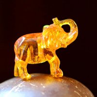 Слон. Янтарь :: Андрей Л. В. Слон. Янтарь :: Андрей Л. В.