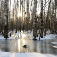 Апрель. :: Иван Генералов Апрель. :: Иван Генералов